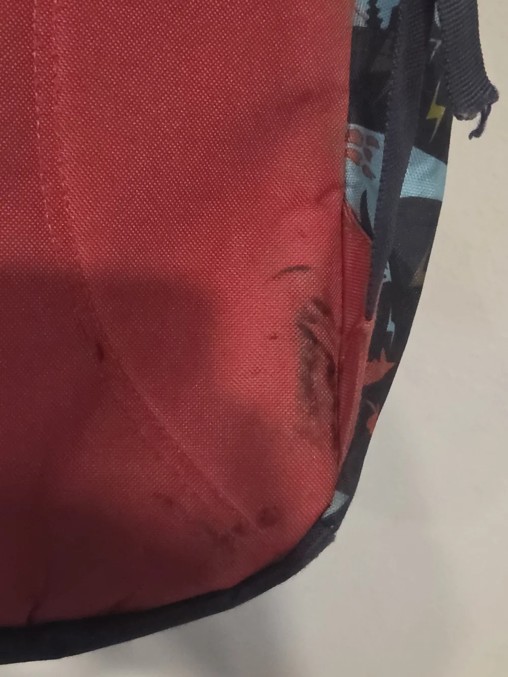 Kids Dinosaur Print Backpack with Red Accents